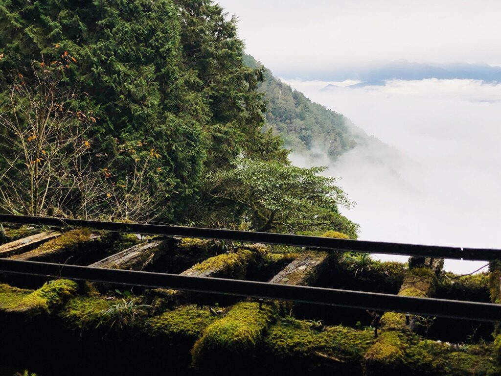 2025太平山莊最新旅遊攻略｜5個必訪景點及特色活動