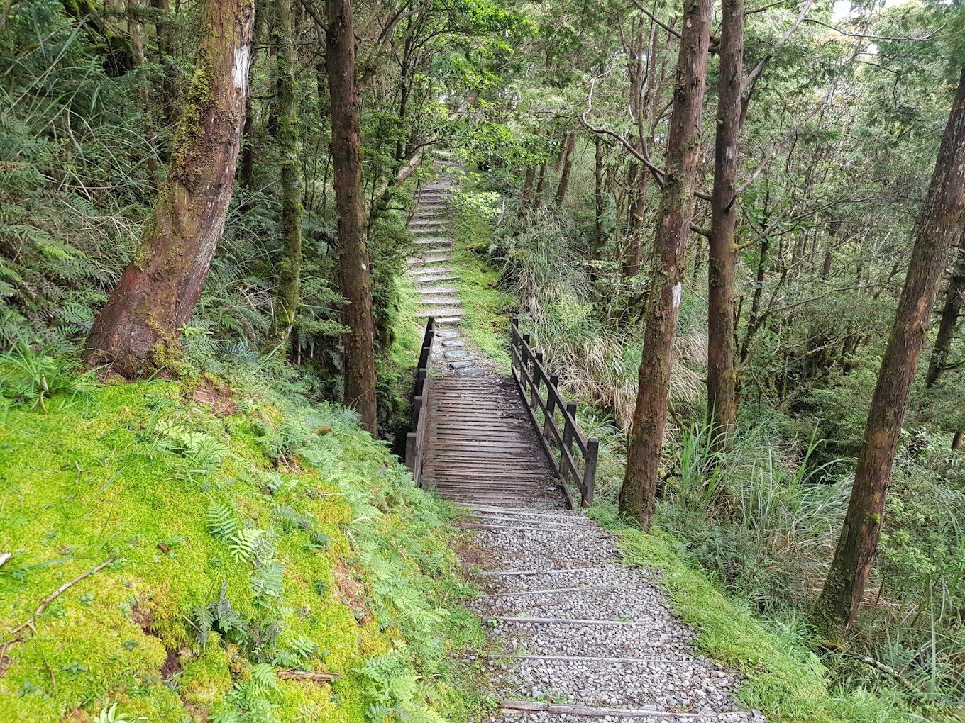 2025太平山莊最新旅遊攻略｜5個必訪景點及特色活動