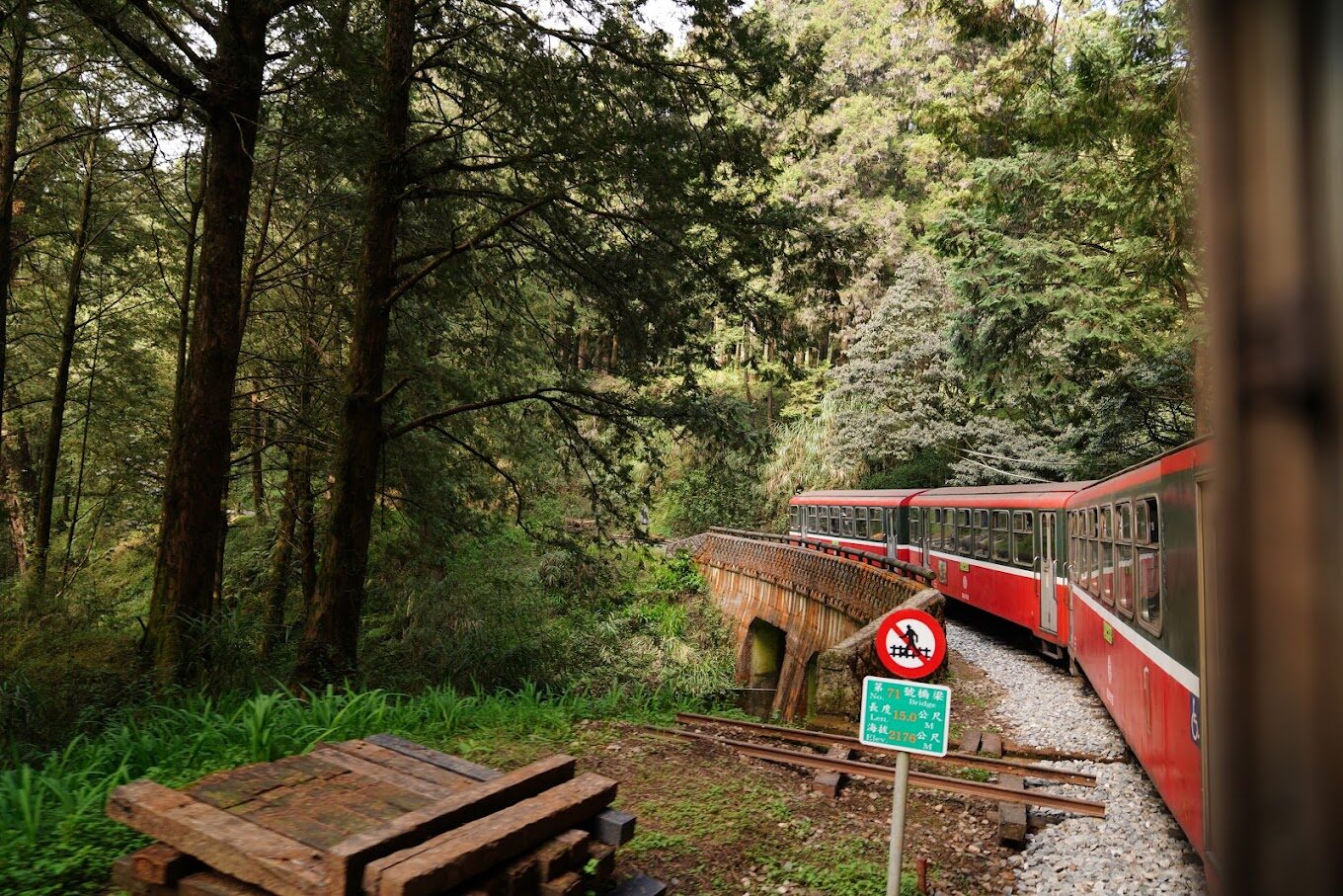 【2025】阿里山不容錯過的秘境｜探索自然與文化的奧秘