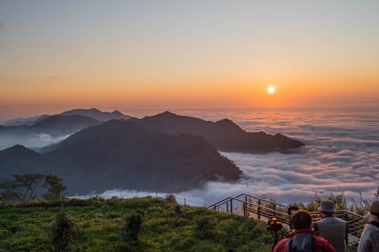 【2025】阿里山不容錯過的秘境|探索自然與文化的奧秘