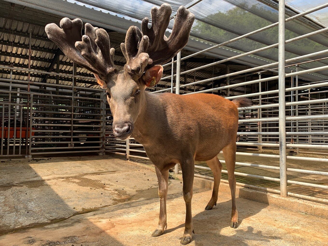 國姓景點隱藏秘境探險指南 - 探索未被發現的自然美景