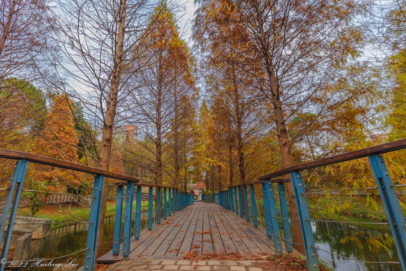 揭密桃園步道秘境｜5大必訪自然景點讓你驚嘆不已