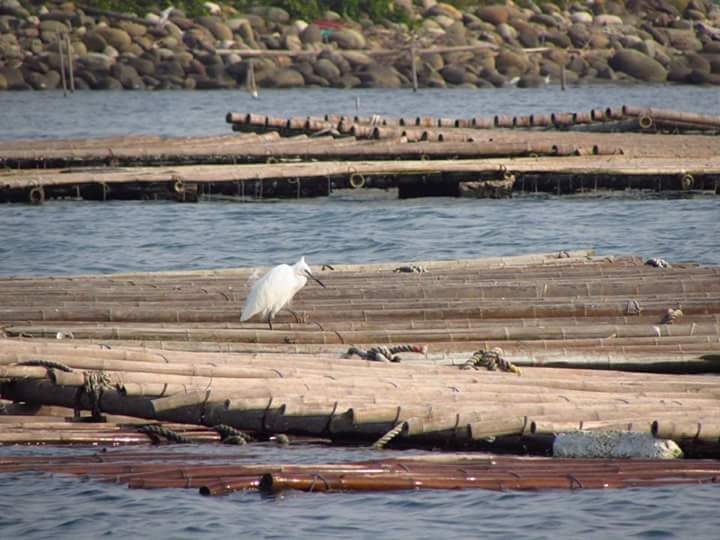台南旅遊必去景點排行|2025不容錯過的5大人氣景點