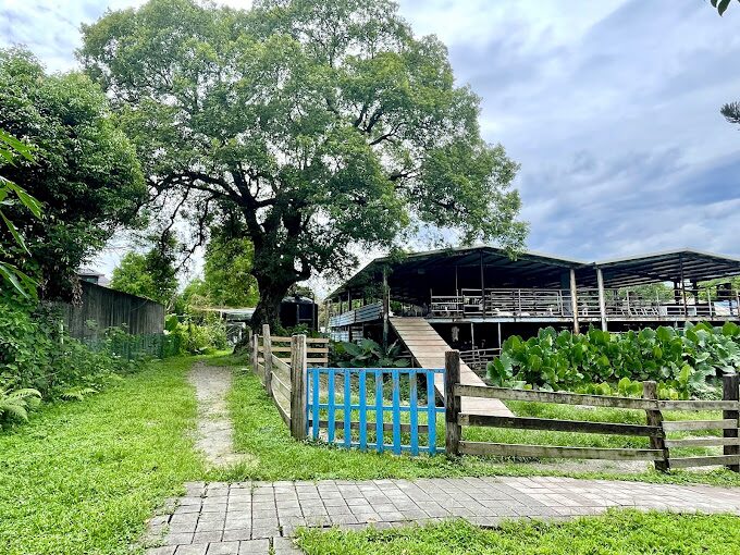 宜農牧場探索：3個不容錯過的特色體驗與美食推薦