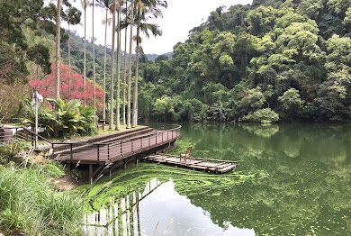 揭密桃園步道秘境｜5大必訪自然景點讓你驚嘆不已