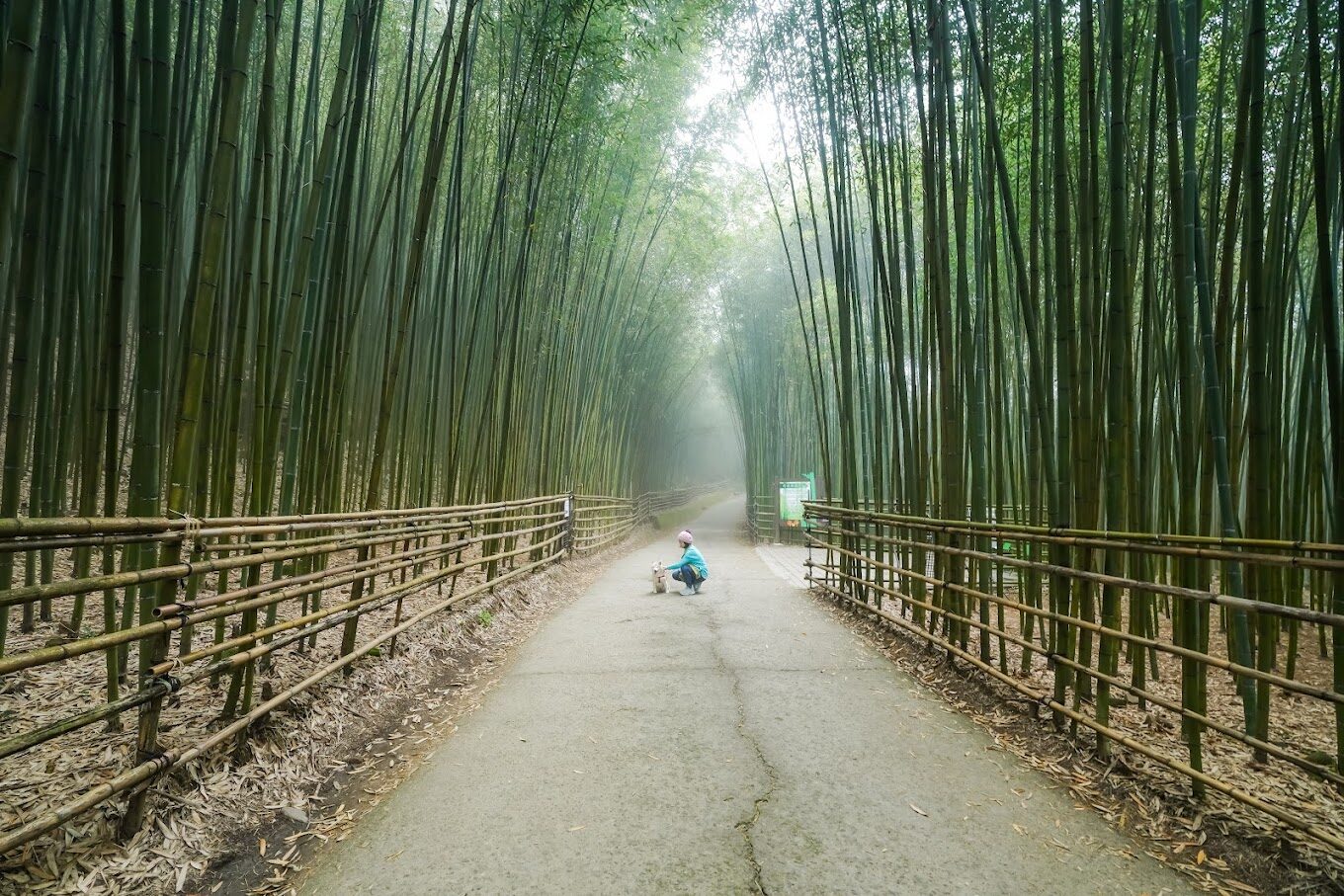 苗栗市景點必去清單:5個你不可錯過的自然奇觀