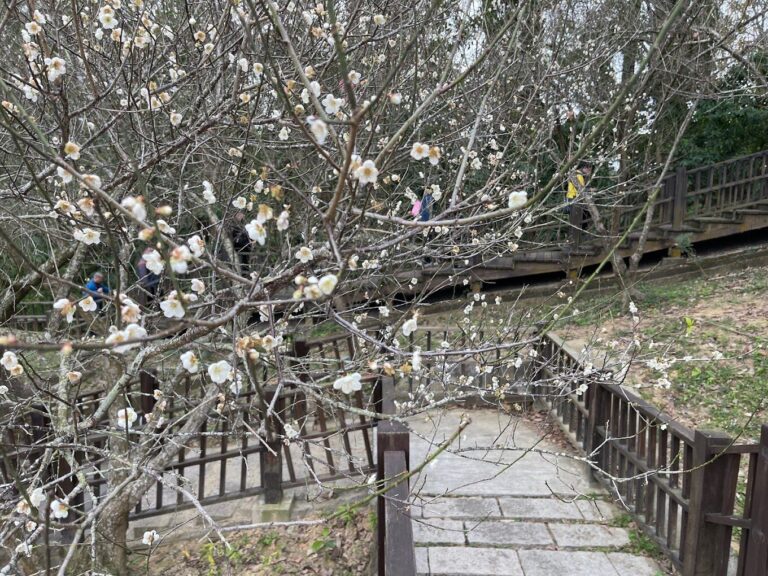 梅山公園附近必遊景點｜避開人潮的5個秘境推薦