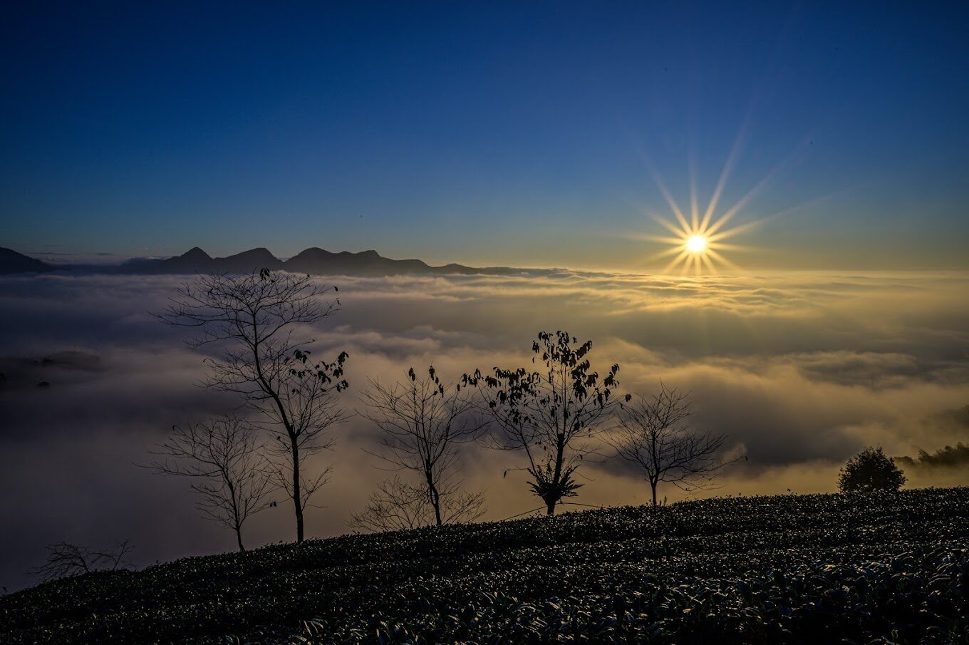 2025】梅山公園必去攻略|不可錯過的附近景點與隱藏美食