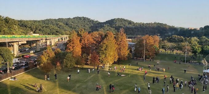 台北內湖大湖公園落羽松與著名的錦帶橋景色