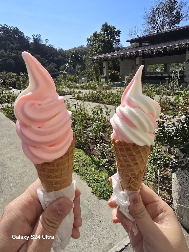 苗栗市景點必去清單:5個你不可錯過的自然奇觀