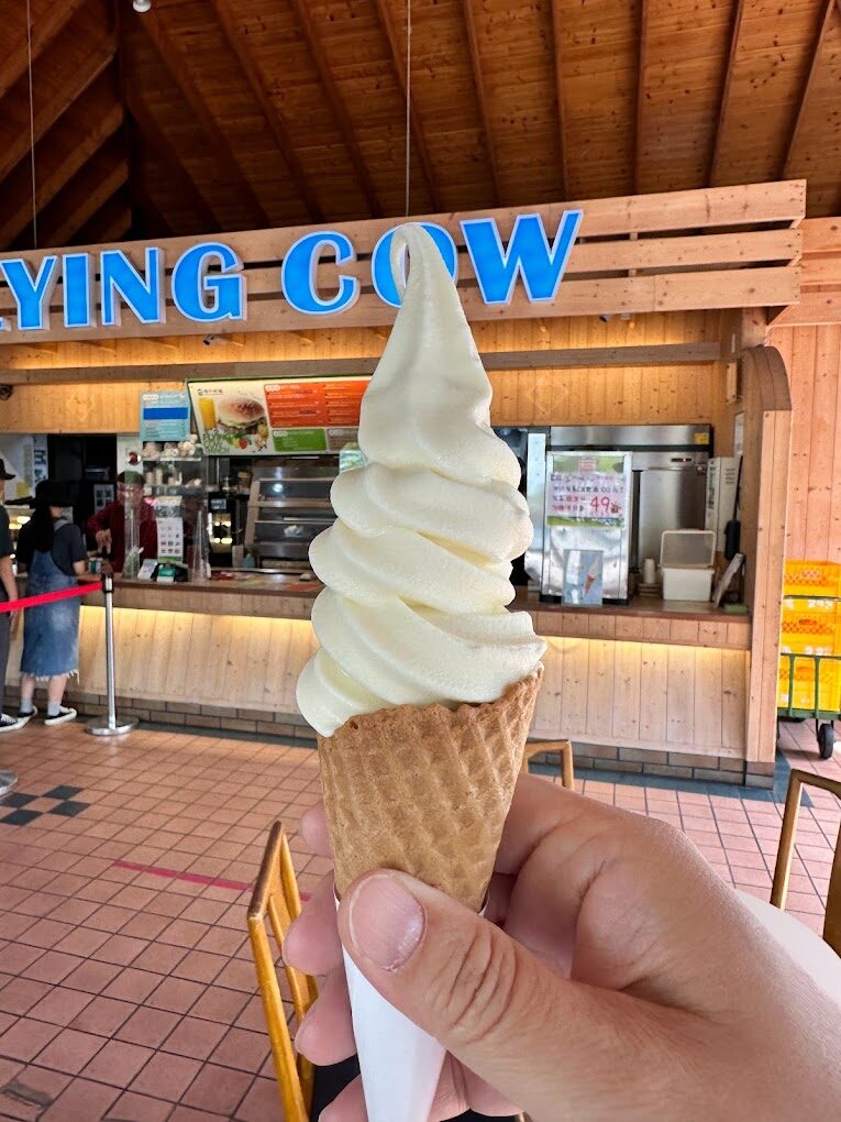 2025苗栗景點不踩雷清單｜必去的5個秘境與絕美景色！