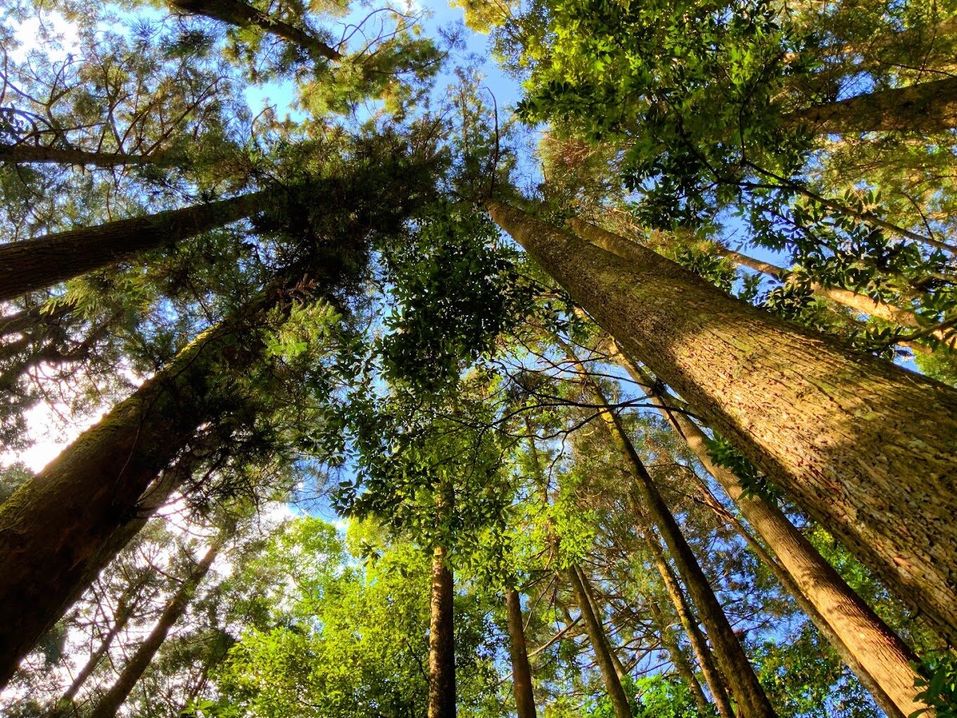 2025雲林必去景點推薦｜你絕不可錯過的秘境