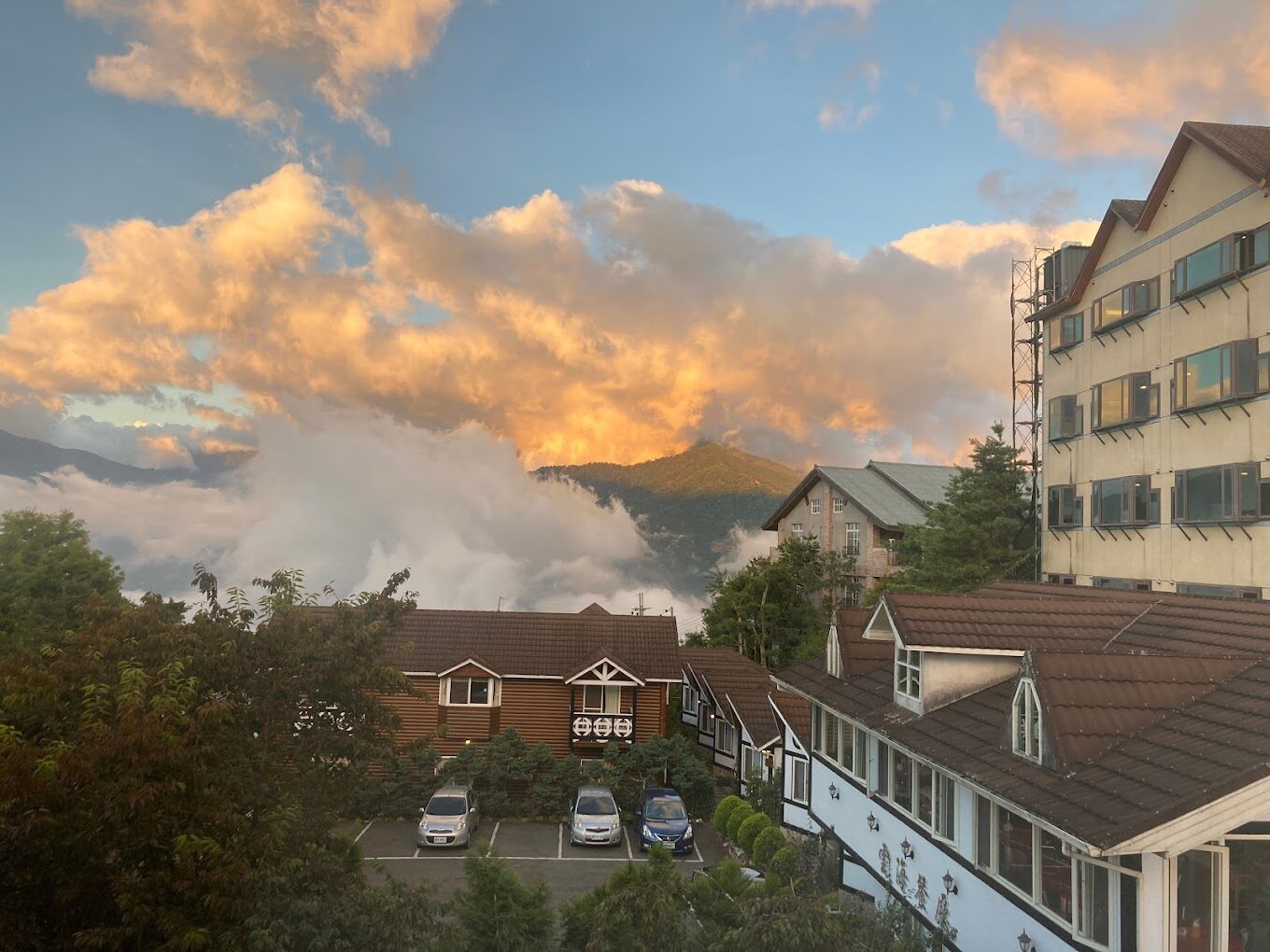 清境農場必遊景點推薦｜2025年不可錯過的體驗