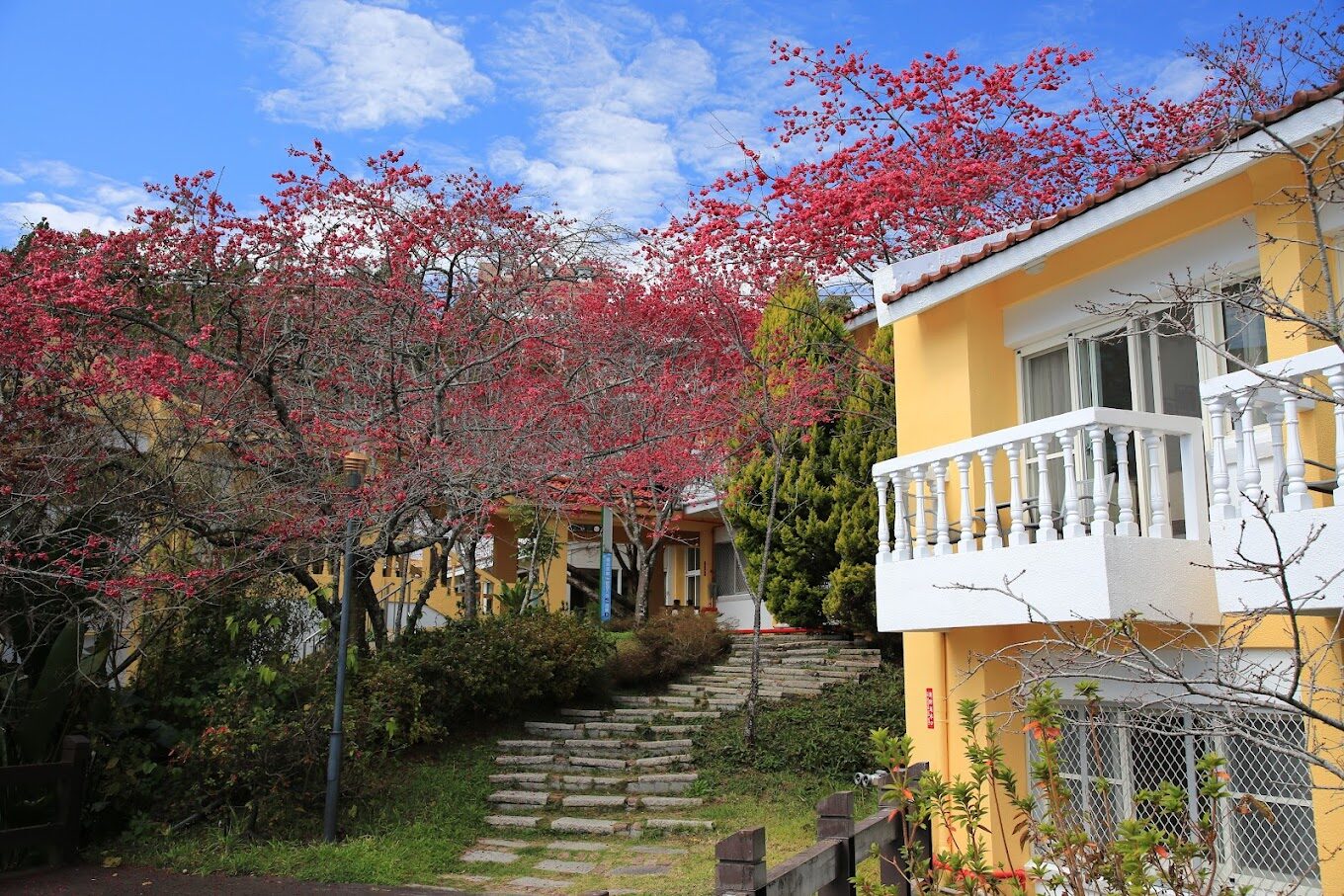 清境國民賓館必住體驗：四大理由讓你不想錯過