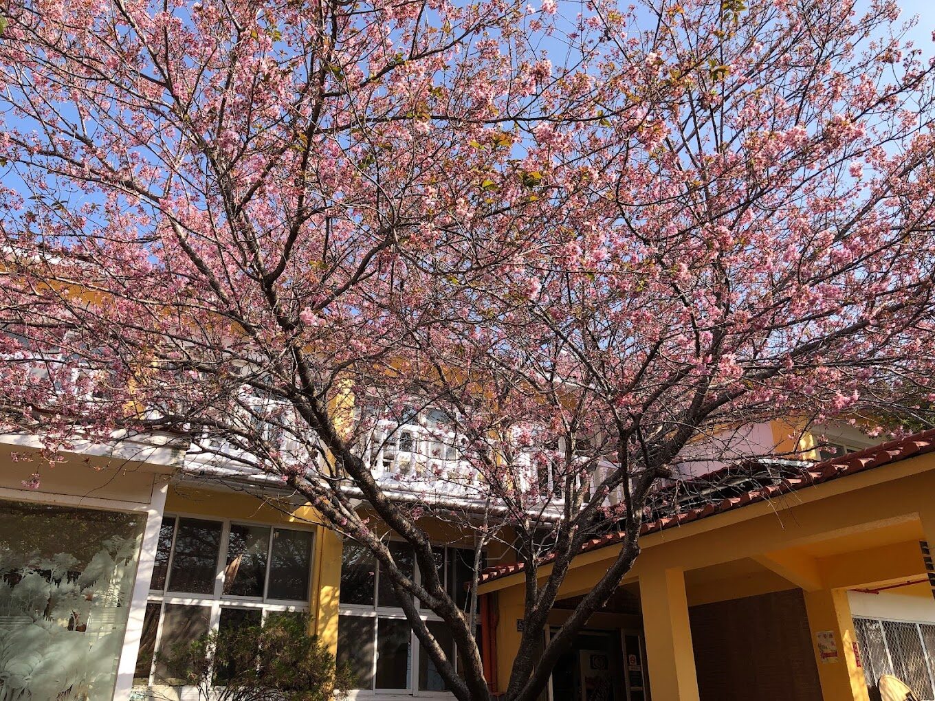 清境國民賓館必住體驗:四大理由讓你不想錯過