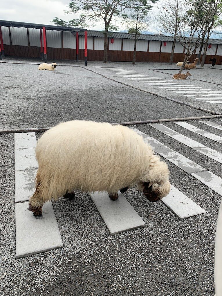 宜蘭農場旅遊攻略｜探訪5大必遊景點及在地美食推薦