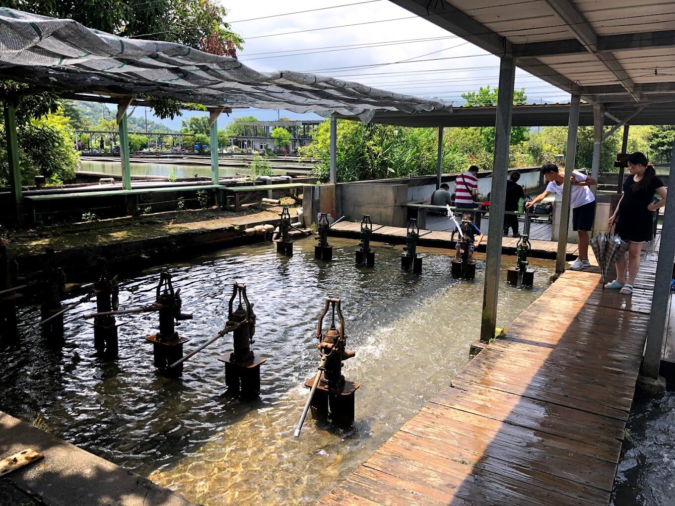 宜蘭農場旅遊攻略｜探訪5大必遊景點及在地美食推薦