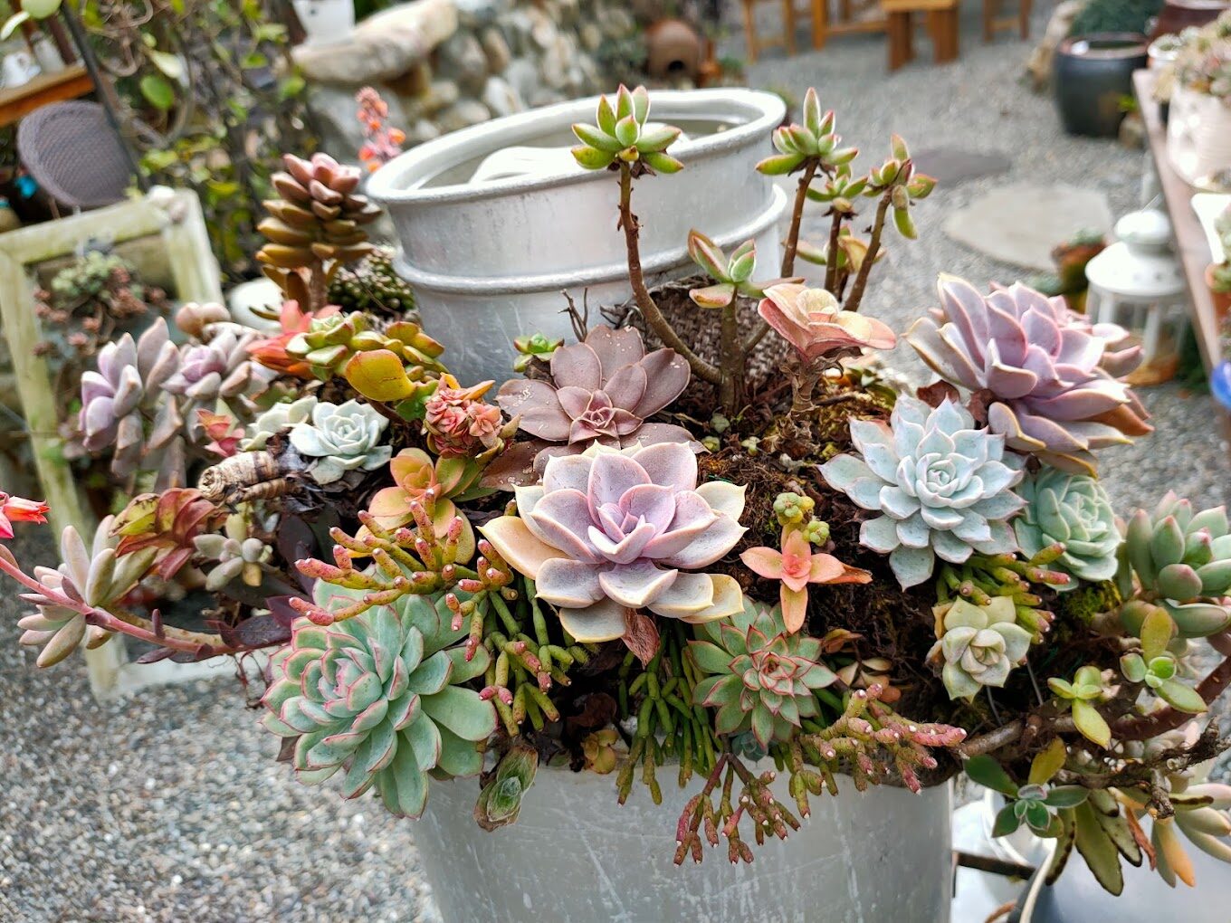 宜蘭農場旅遊攻略｜探訪5大必遊景點及在地美食推薦