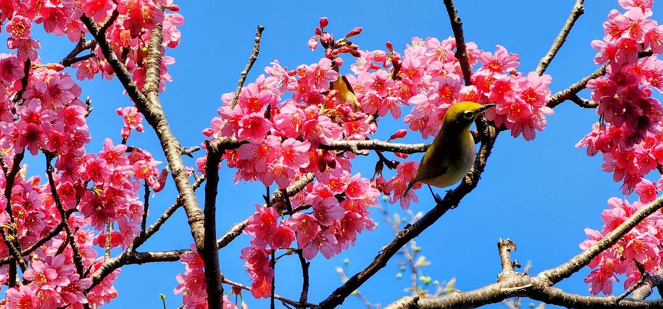 新竹景點必去清單｜揭曉5個不可錯過的旅遊打卡熱點