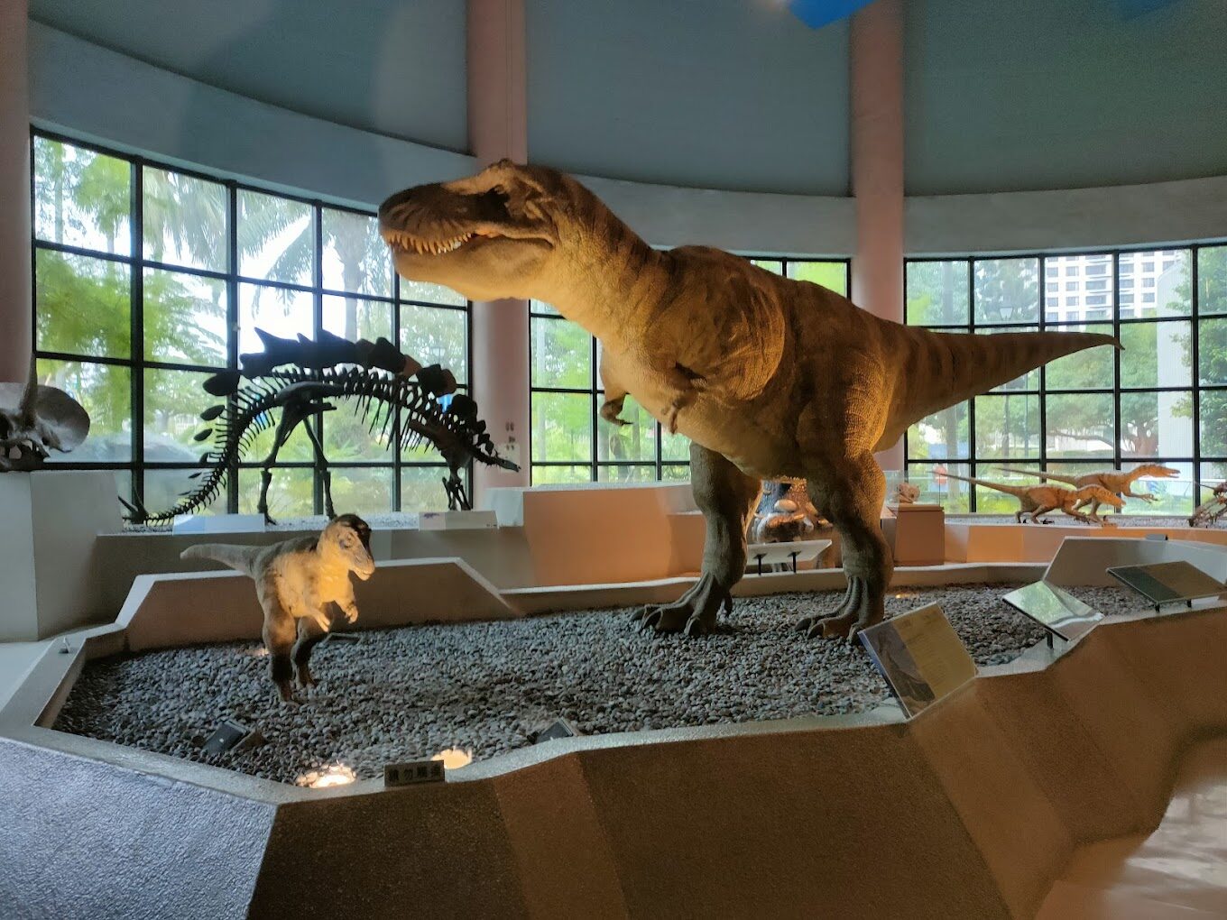 【2025】台中景點懶人包｜避坑必知的熱門去處