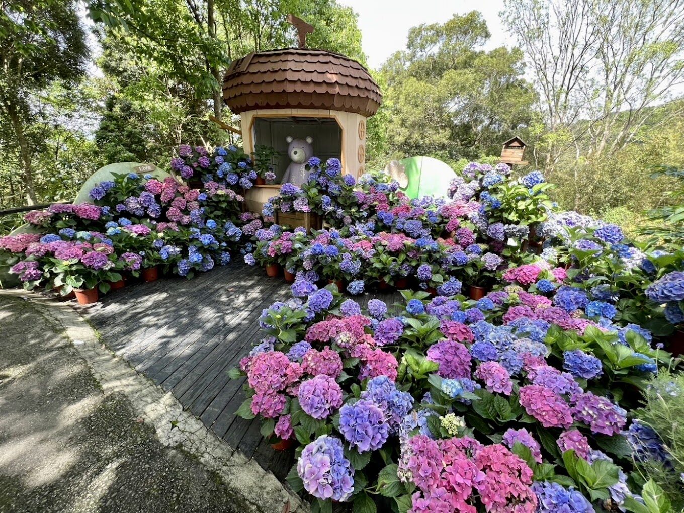 新竹景點精選｜2025必遊的5大打卡勝地