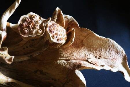 勝興車站必遊攻略｜5個絕對不能錯過的景點和美食推薦