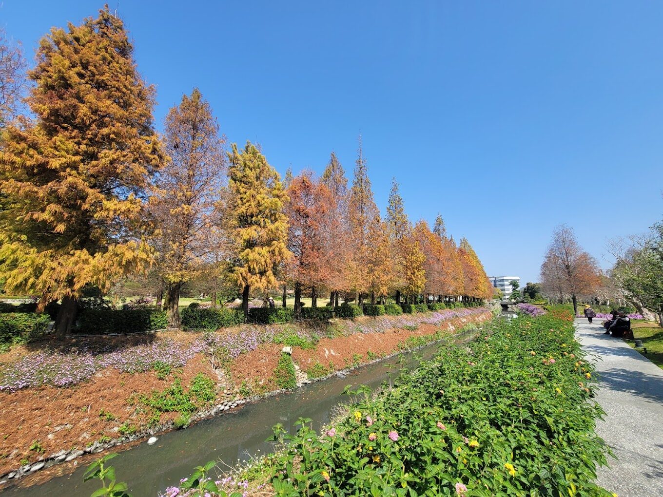 彰化景點必遊清單：你絕不能錯過的5大人氣景點