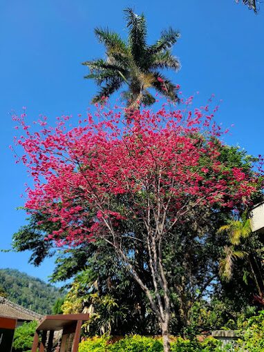 南庄老街必訪攻略：5大隱藏景點及必嚐美食推薦