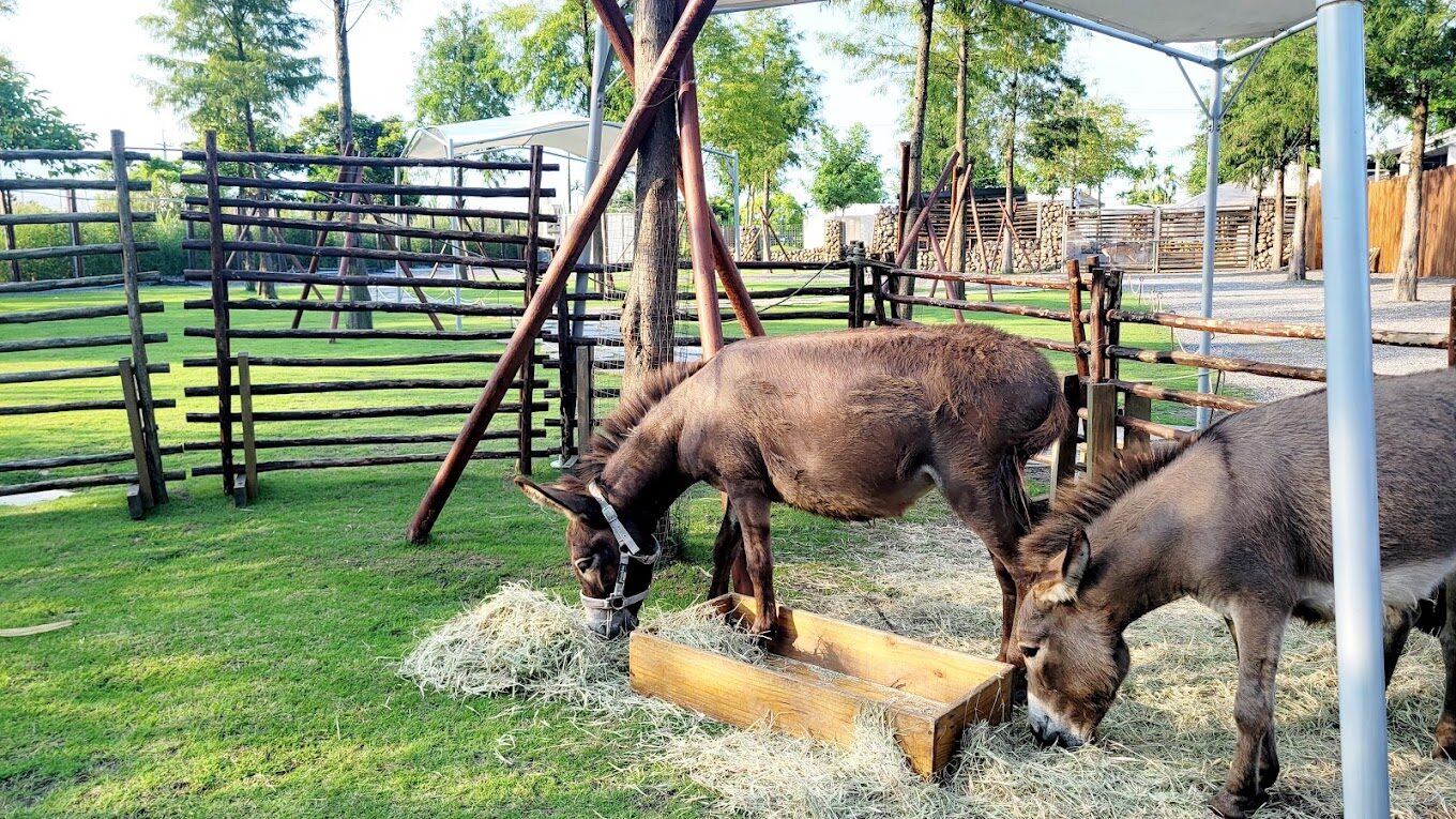 宜蘭一日遊｜5個絕不錯過的景點及美食推薦