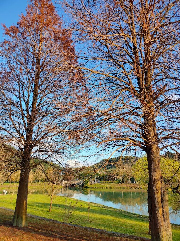 2025宜蘭景點必去清單|避開熱門人潮的秘境推薦