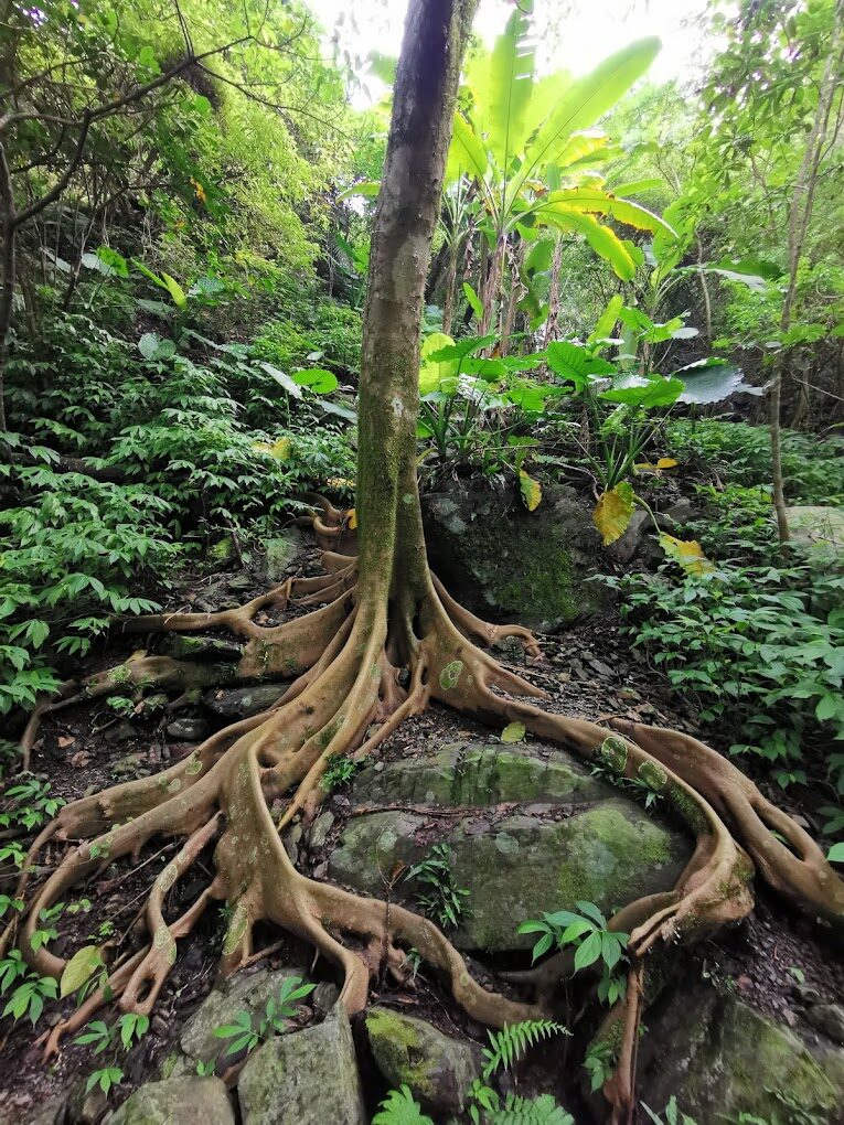 2025宜蘭景點必去清單|避開熱門人潮的秘境推薦