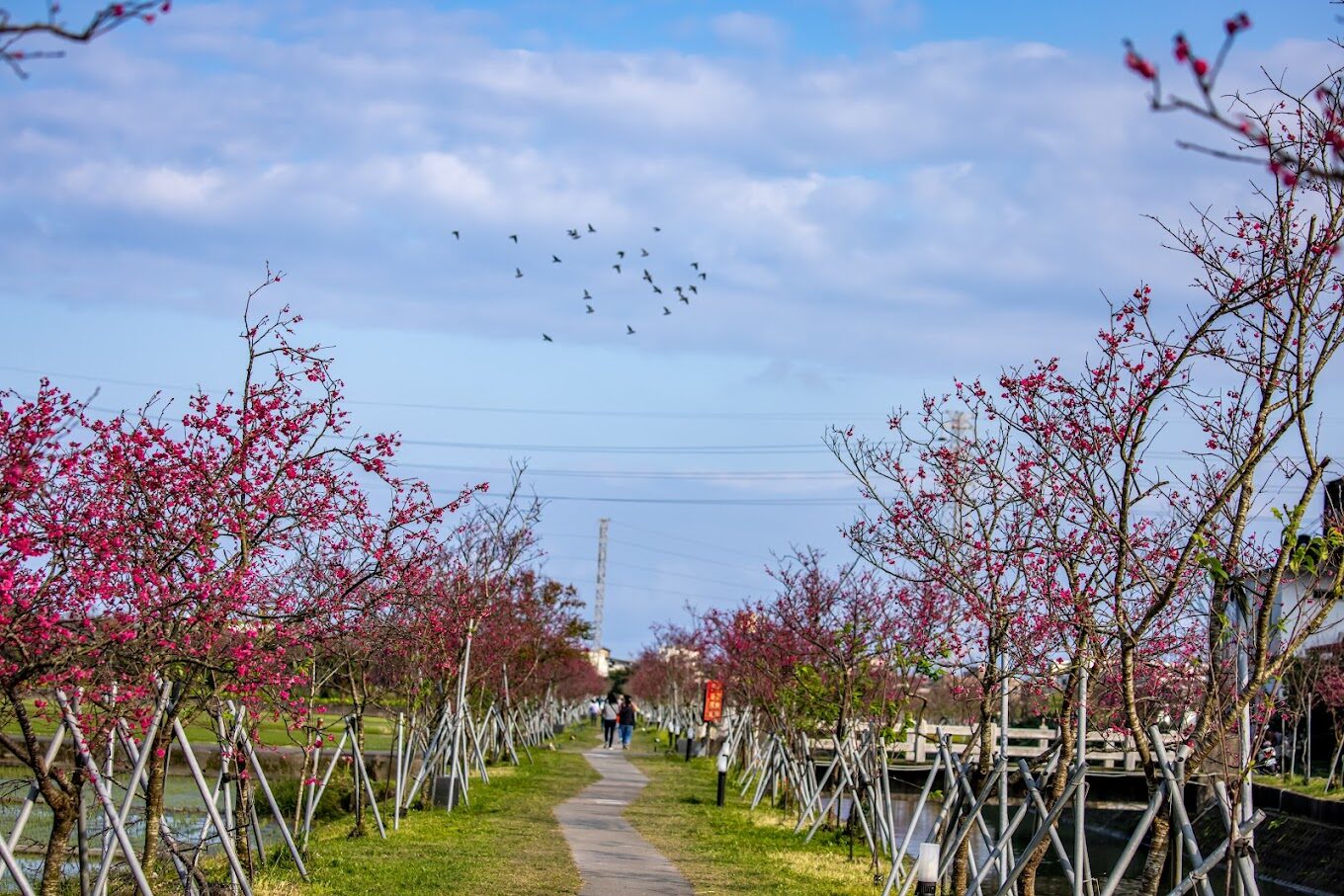2025宜蘭景點必去清單|避開熱門人潮的秘境推薦