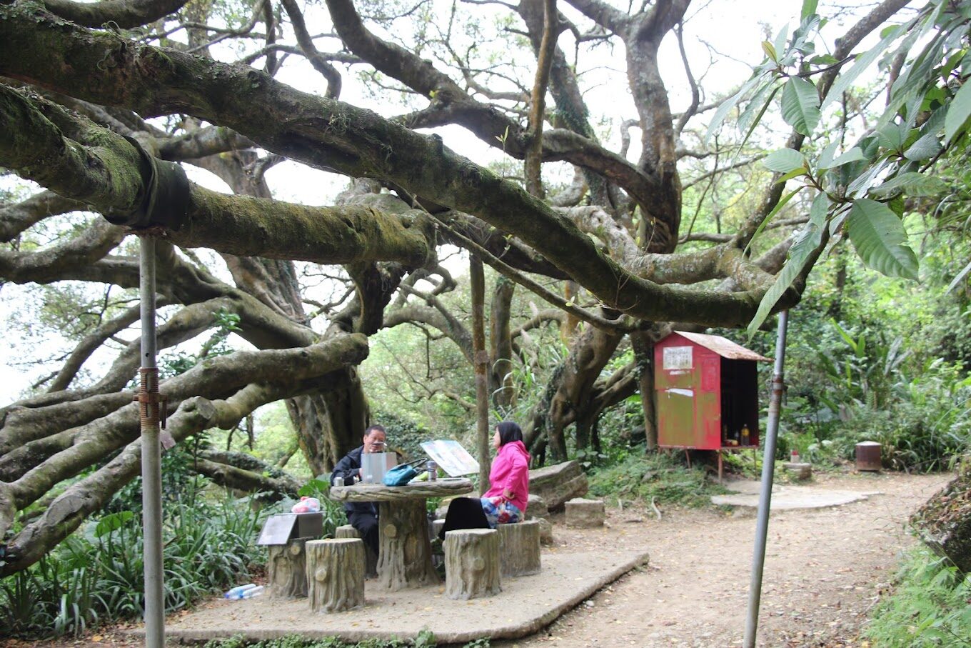 揭密桃園步道秘境｜5大必訪自然景點讓你驚嘆不已