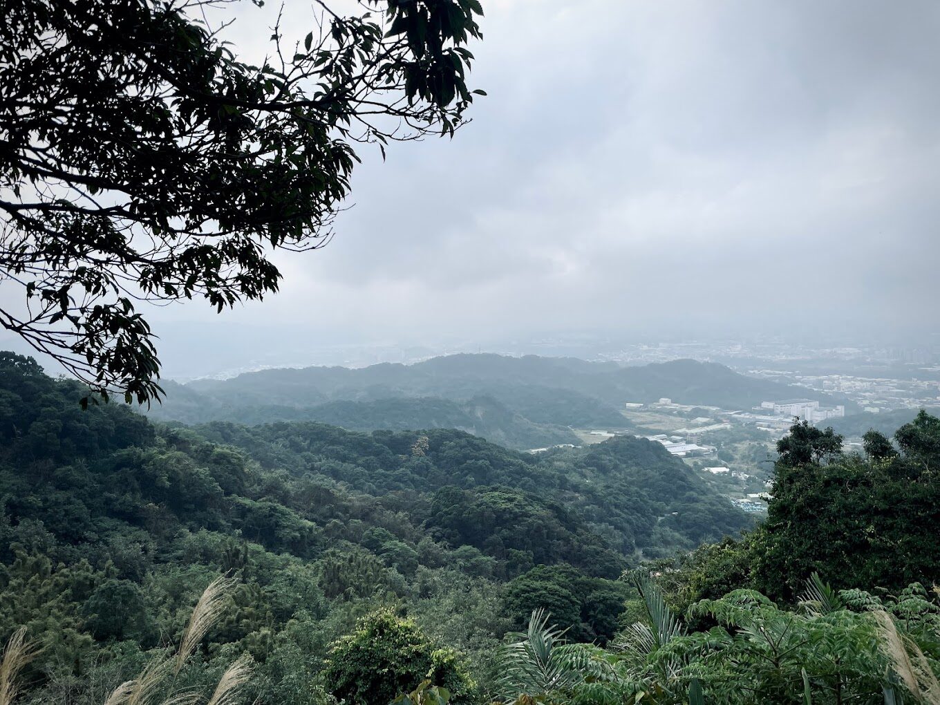 揭密桃園步道秘境｜5大必訪自然景點讓你驚嘆不已