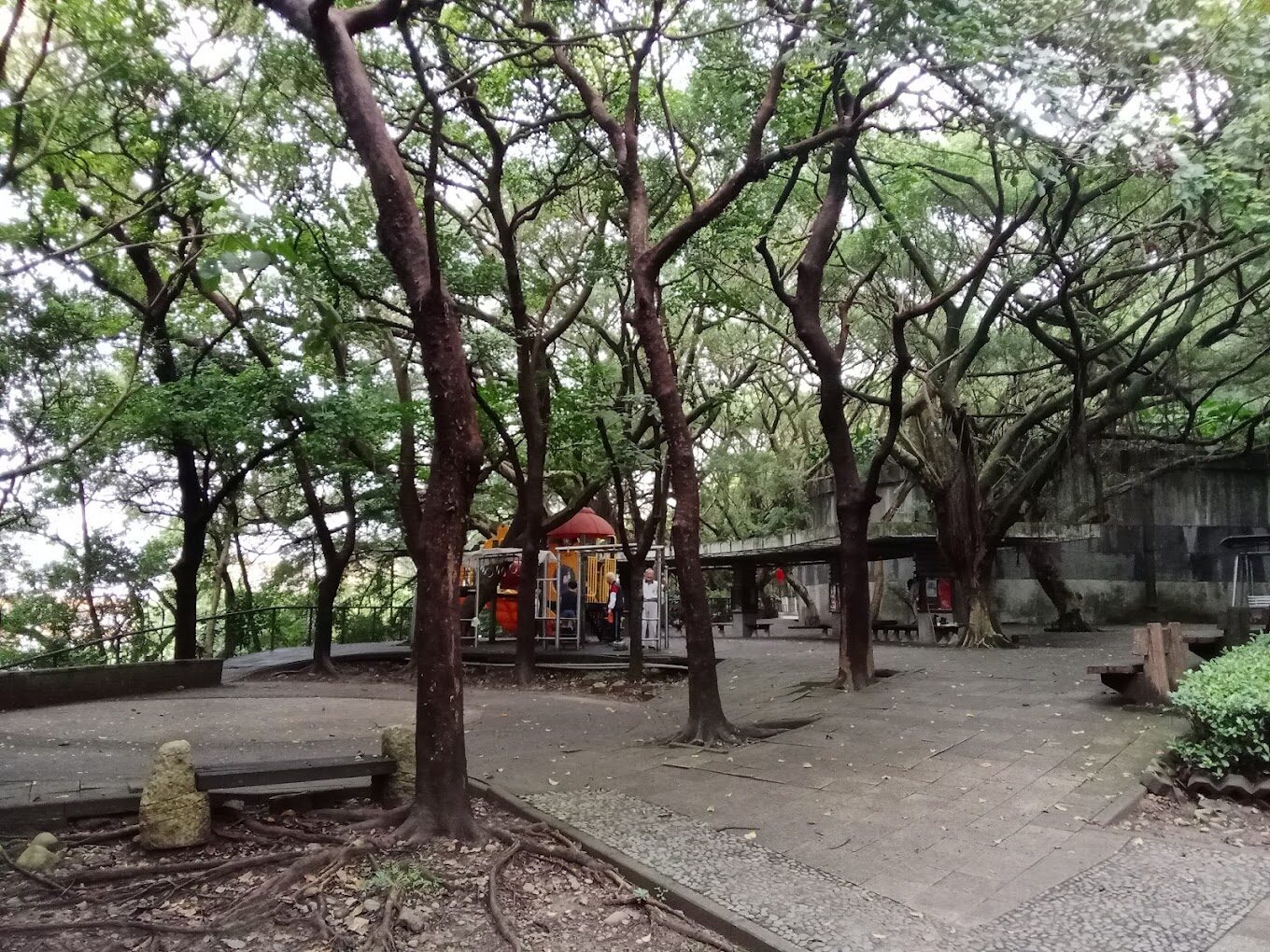 揭密桃園步道秘境｜5大必訪自然景點讓你驚嘆不已