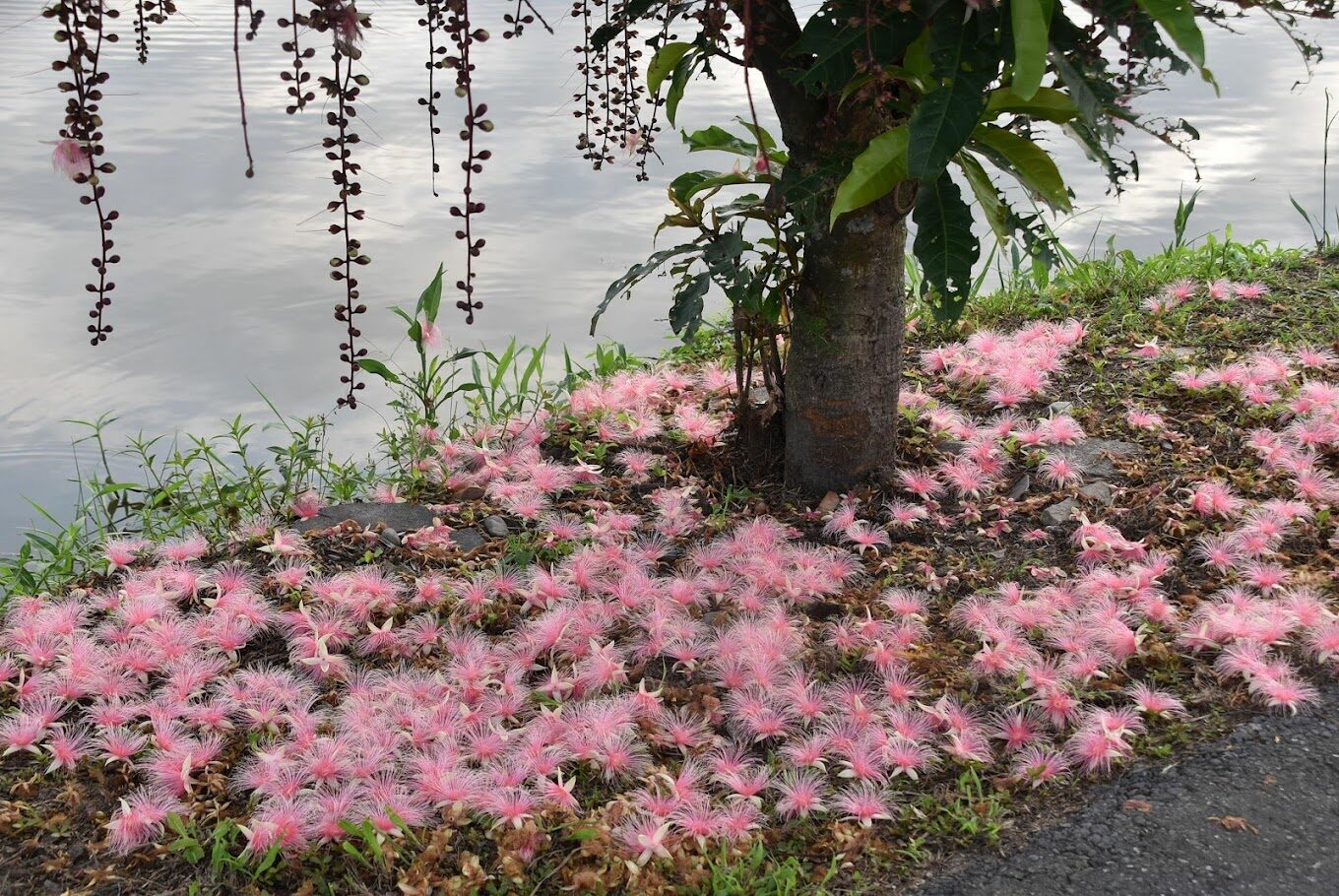 探索五結：2025年不可錯過的5大秘境景點