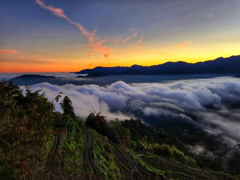 探索雪霸休閒農場的珍稀生態美景：發現自然的奧秘