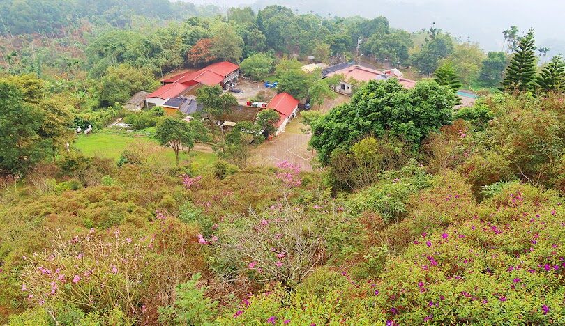 梅嶺風景區最佳徒步旅行路線推薦