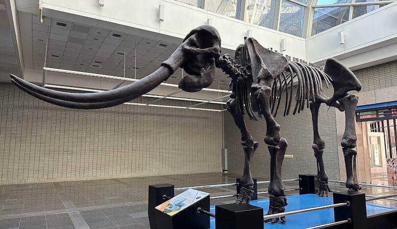 台中一日遊必訪：美食與景點完全指南