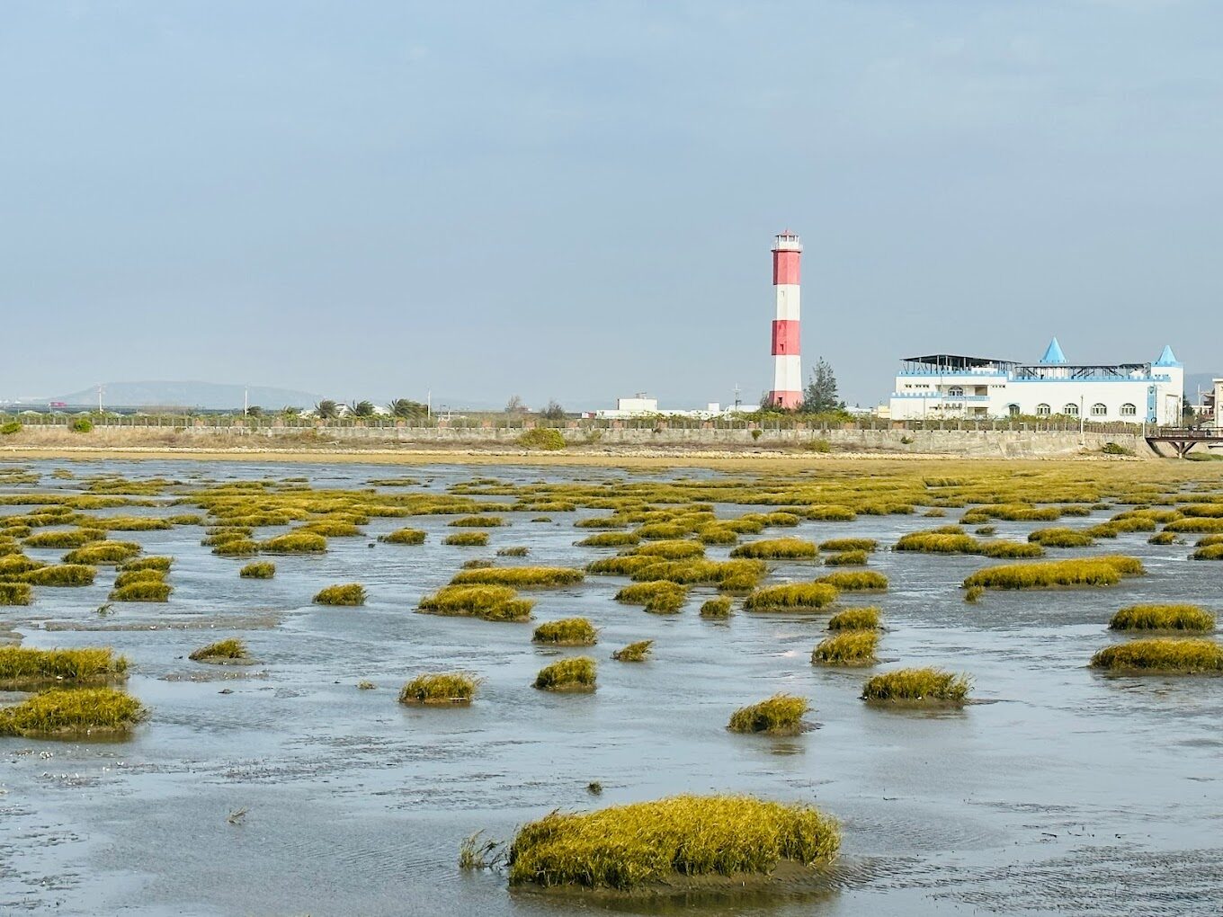 台中旅遊不能錯過的熱門景點推薦:絕美高美濕地、宮原眼科、彩虹眷村