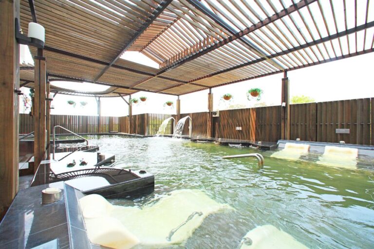 最適合冬季養生的清新溫泉飯店溫泉：苛碳酸氫鈉揭祕