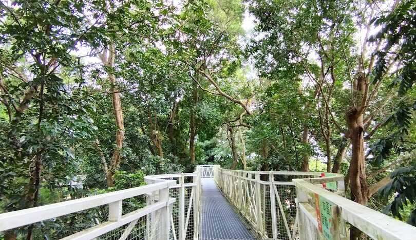 嘉義天空走廊攻略：漫步竹崎親水公園的高空步道