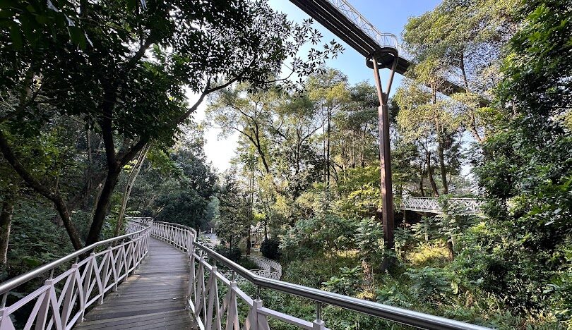 嘉義天空走廊攻略：漫步竹崎親水公園的高空步道
