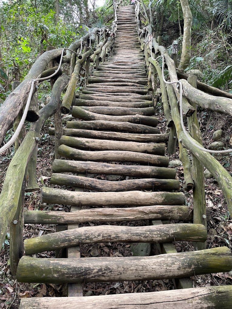 初學者適合的台中景點大坑步道：揭開每條步道的魅力