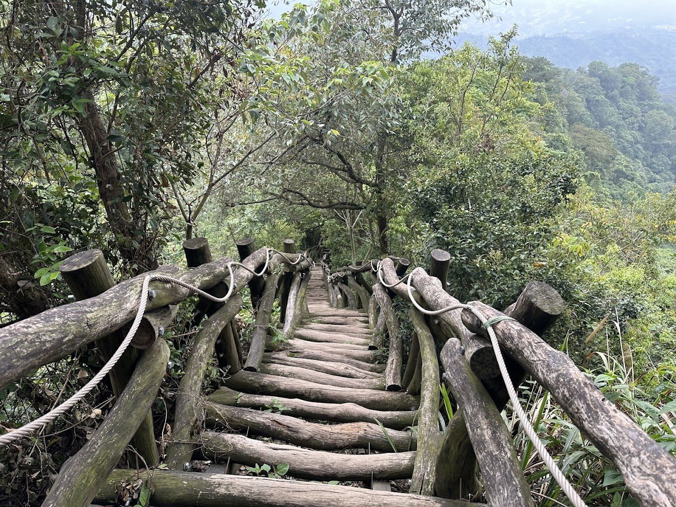初學者適合的台中景點大坑步道：揭開每條步道的魅力