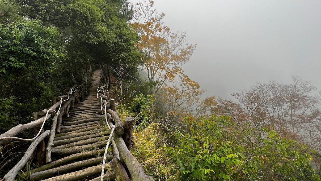初學者適合的台中景點大坑步道：揭開每條步道的魅力