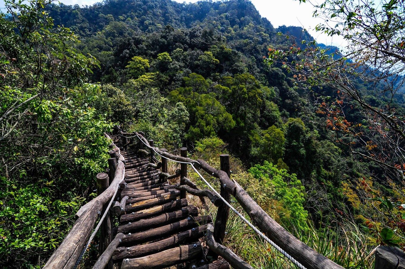 初學者適合的台中景點大坑步道：揭開每條步道的魅力