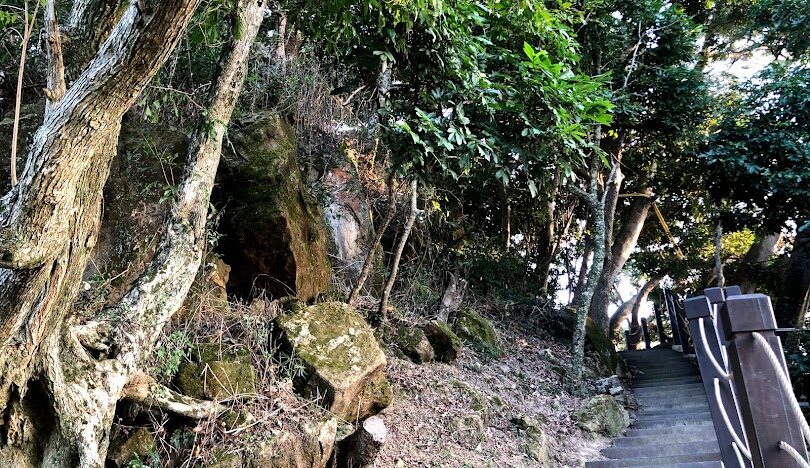 初學者適合的台中景點大坑步道：揭開每條步道的魅力