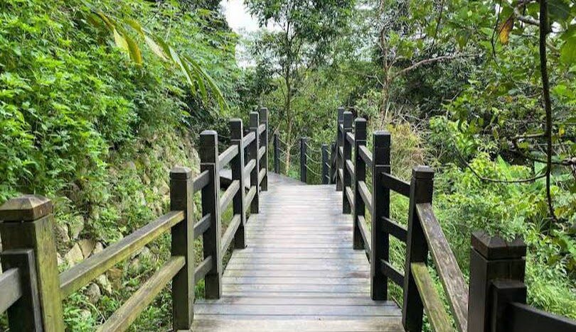 初學者適合的台中景點大坑步道：揭開每條步道的魅力