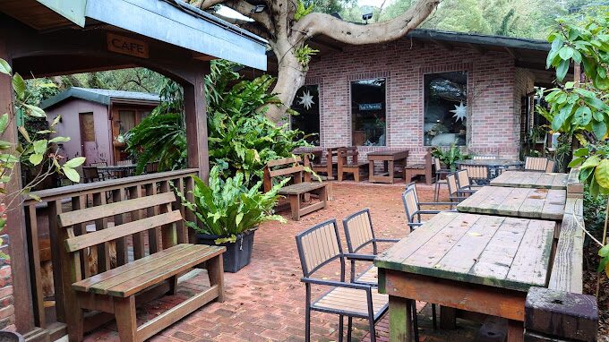 桃園客家料理推薦：必吃的客家小炒與梅干扣肉